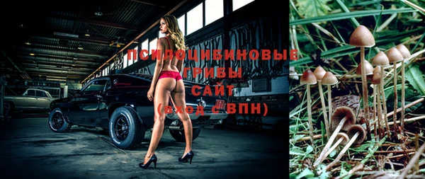 мескалин Алексеевка