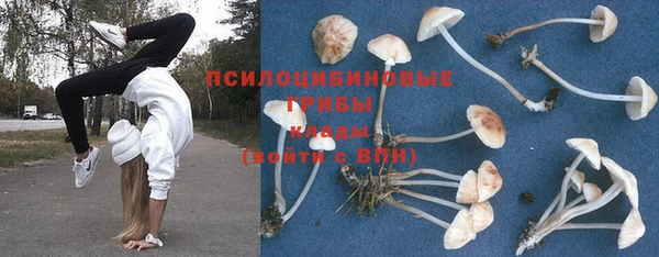 герыч Алексин