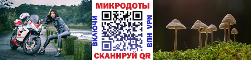 Псилоцибиновые грибы мицелий Апшеронск